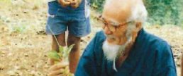 Masanobu Fukuoka